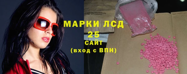 гидра Каменногорск