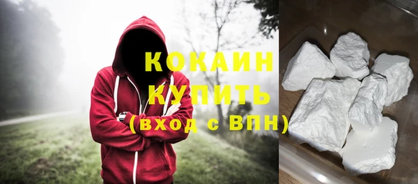 гидра Каменногорск