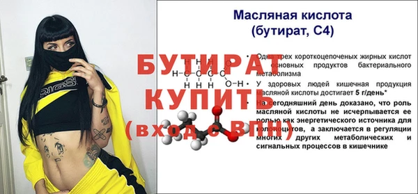 гидра Каменногорск