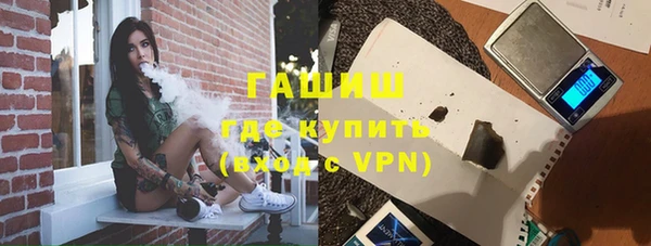 гидра Каменногорск