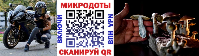 Купить закладки  Краснослободск  Псилоцибиновые грибы Psilocybe 