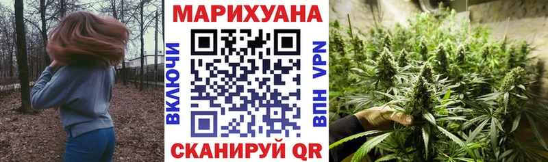 Бошки Шишки семена  Купить где  Краснослободск 